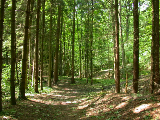 Uscita domenicale...